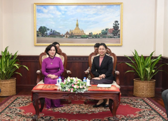 Deputy Minister Bids Farewell to Vietnamese Consul General